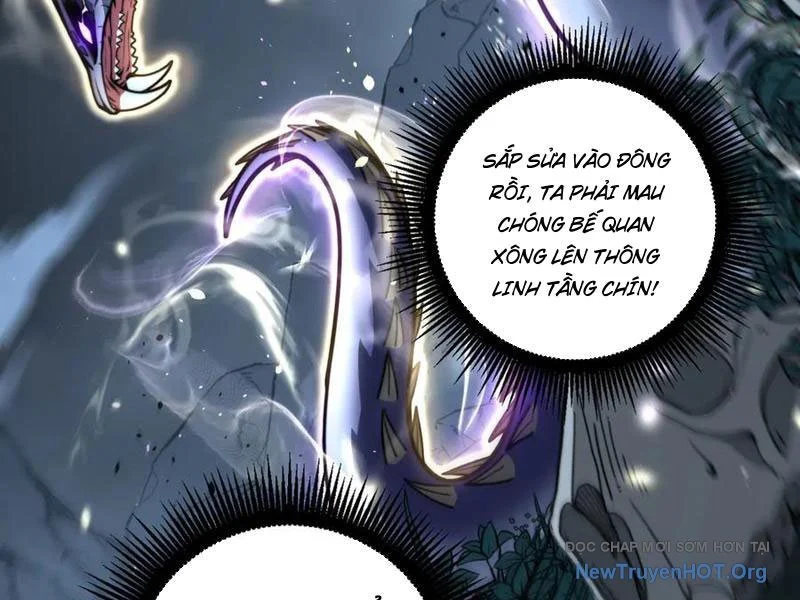 Lão Xà Tu Tiên Truyện Chapter 44 - Trang 2