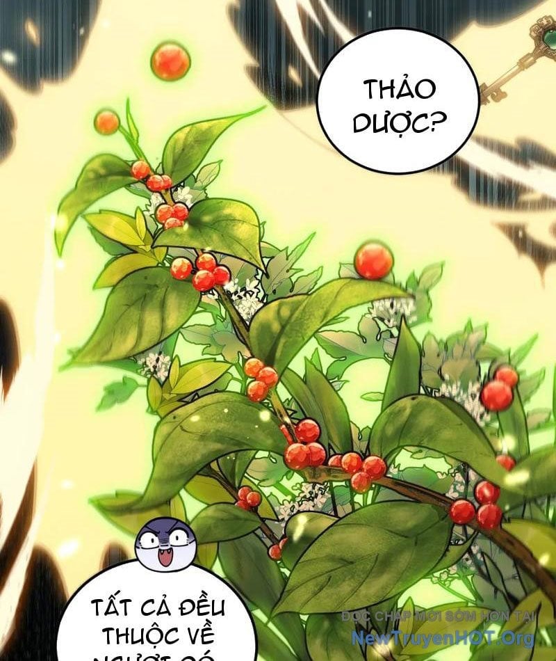 Lão xà tu tiên truyện Chapter 53 - Next 