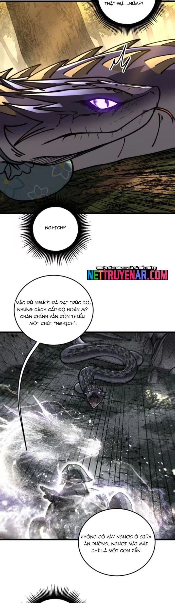 Lão xà tu tiên truyện Chapter 60 - Trang 2