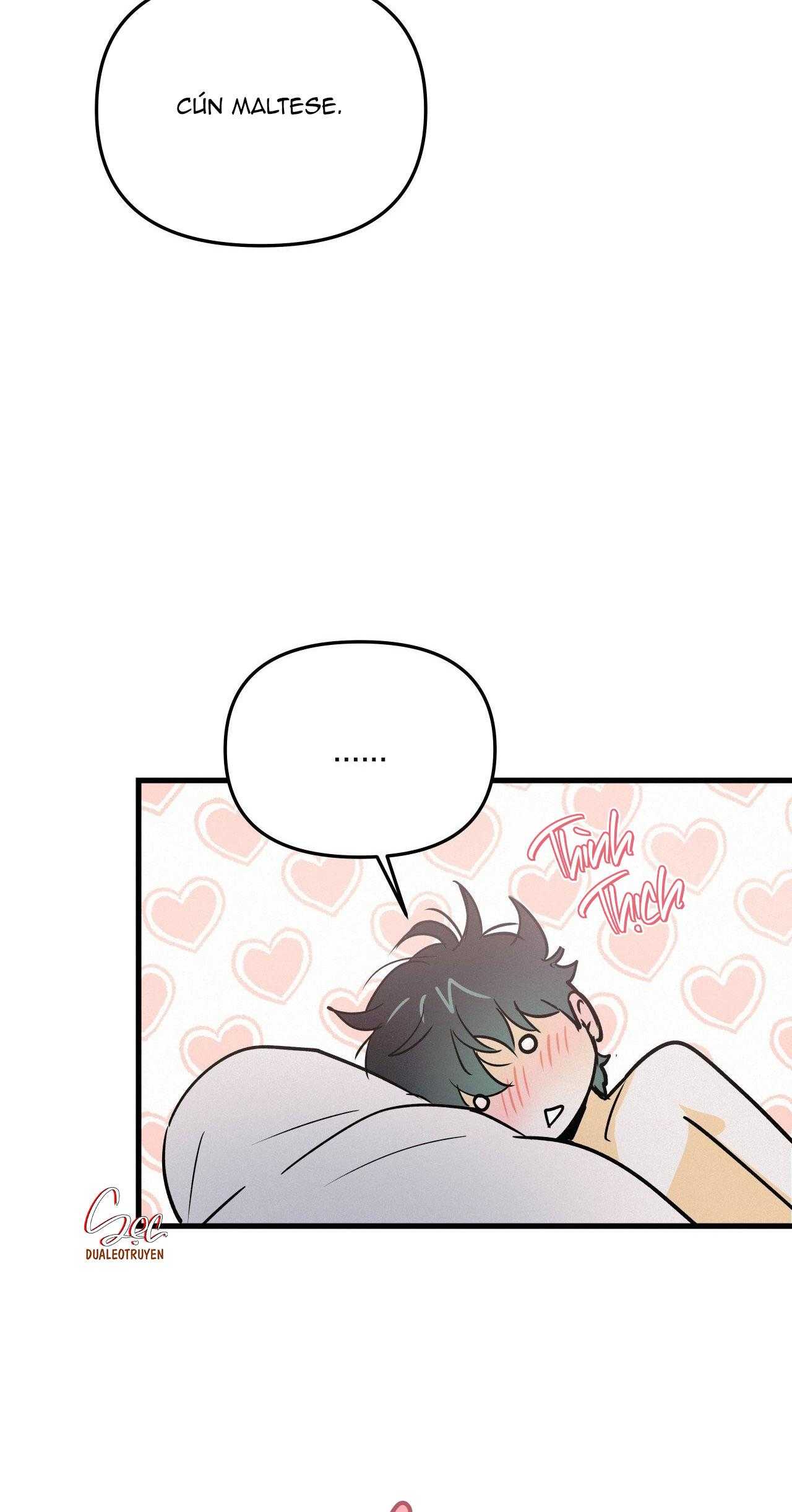 LIE AGAIN Chapter 64 - Next 