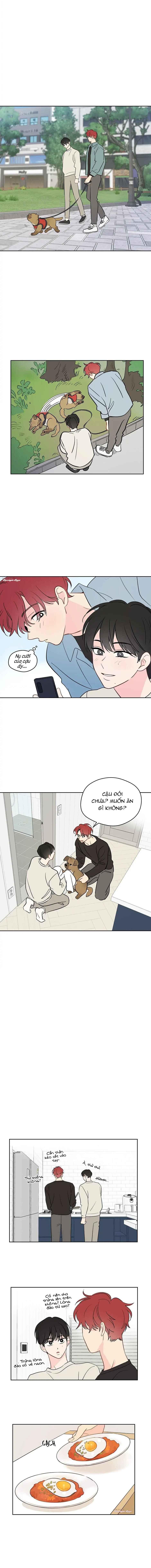Liệu Rằng... Đây Có Phải Chỉ Là Một Giấc Mơ Không!? Chapter 41 - Trang 3