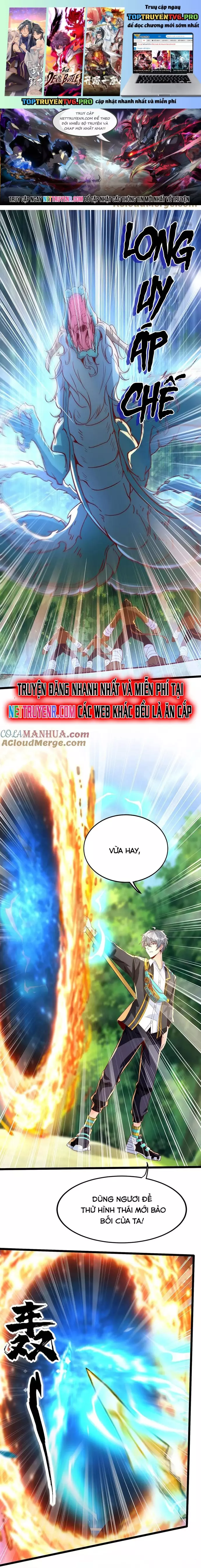Linh Khí Khôi Phục: Ta Mỗi Ngày Thu Được Một Cái Kỹ Năng Mới Chapter 280 - Trang 2