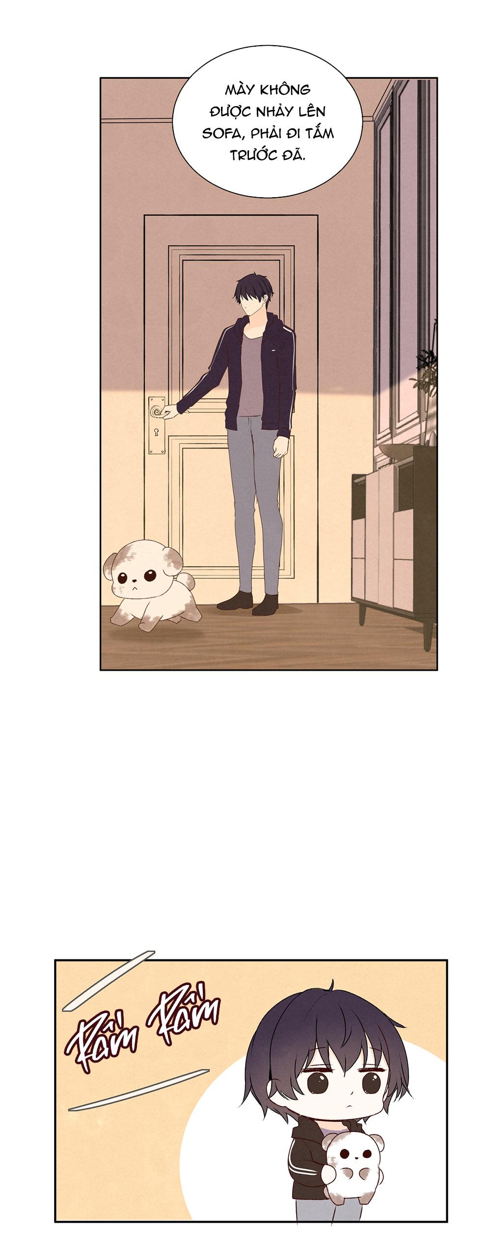 Liquor Gummies Chapter 61 - Next 