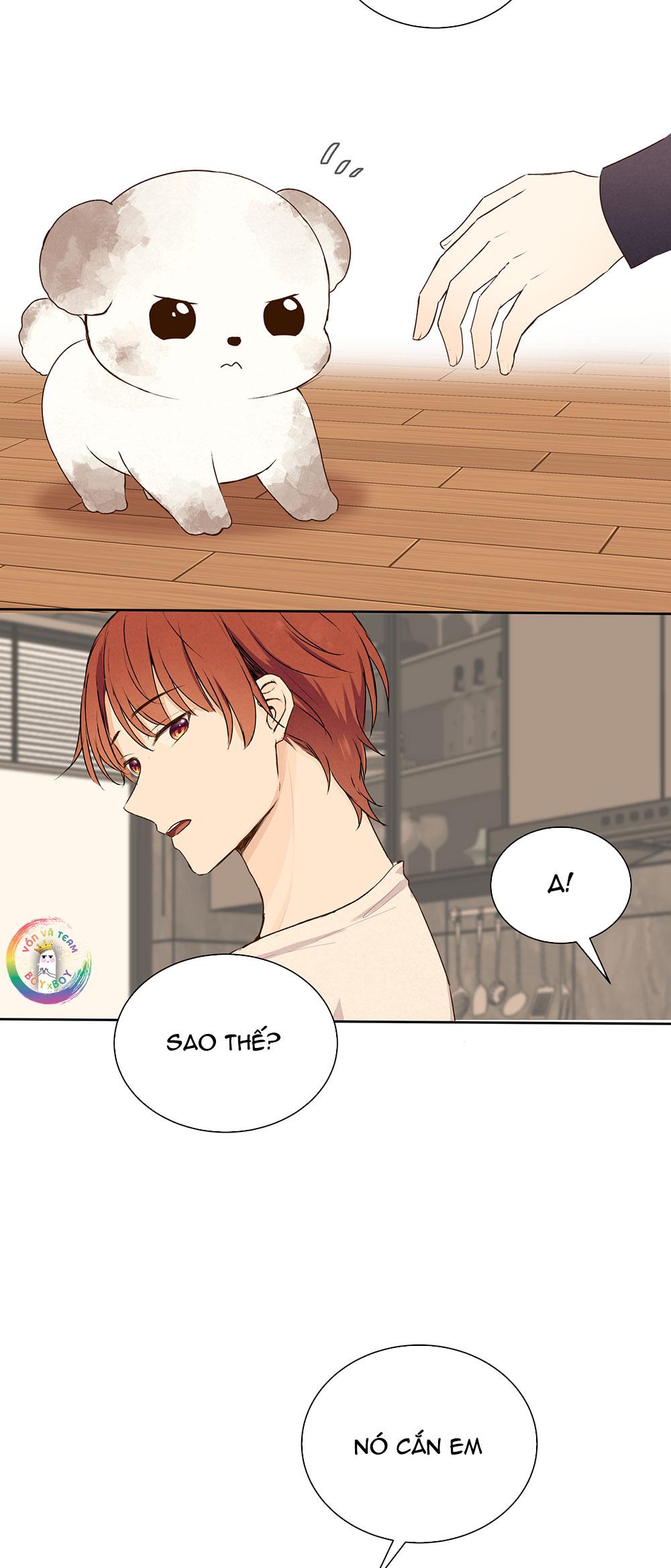 Liquor Gummies Chapter 61 - Next 