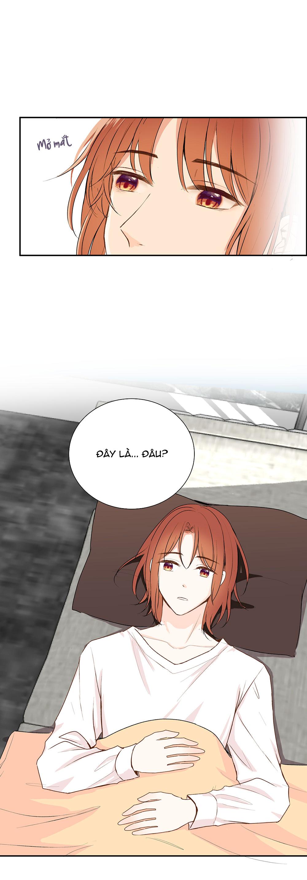 Liquor Gummies Chapter 65 - Trang 3