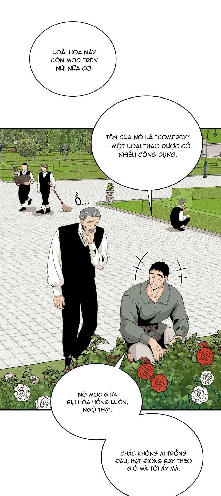 LOÀI HOA KHÔNG TÊN Chapter 23 - Next 