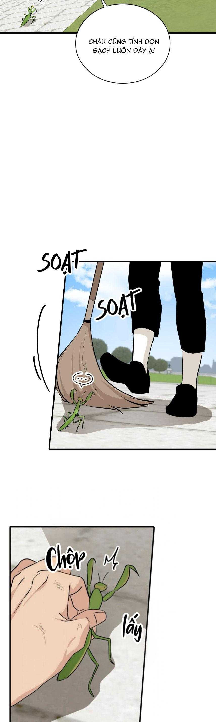 LOÀI HOA KHÔNG TÊN Chapter 23 - Next 