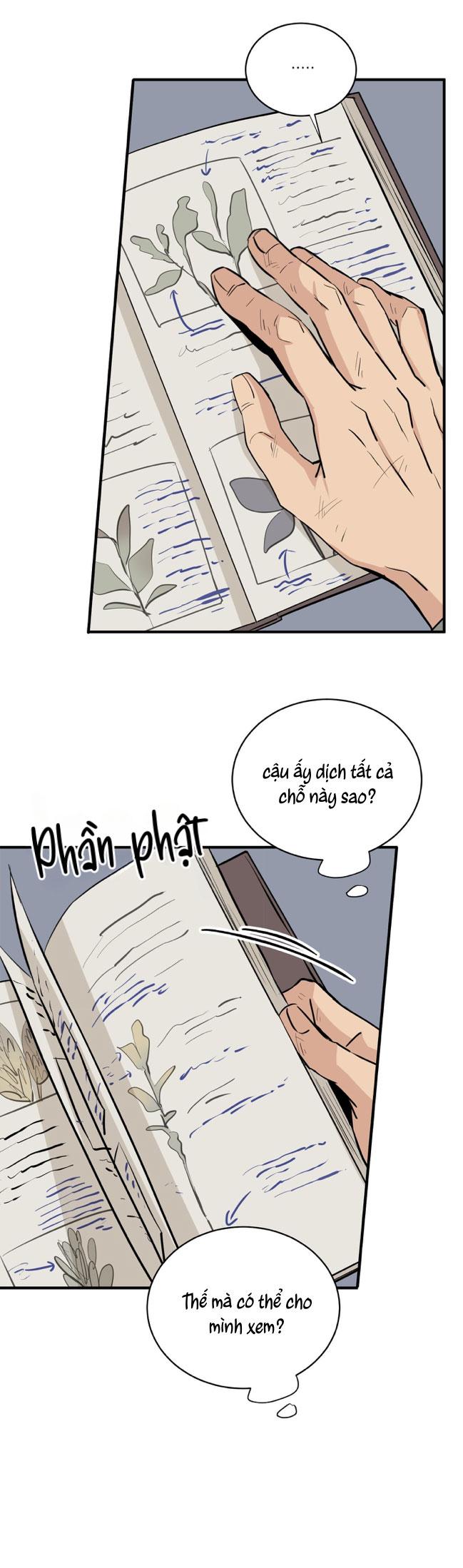 LOÀI HOA KHÔNG TÊN Chapter 24 - Next 
