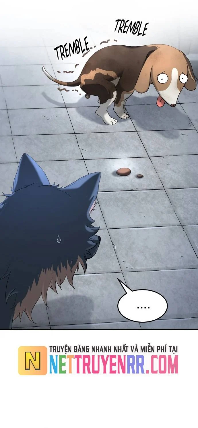 Lời Nguyền Của Dangun Chapter 69 - Trang 2
