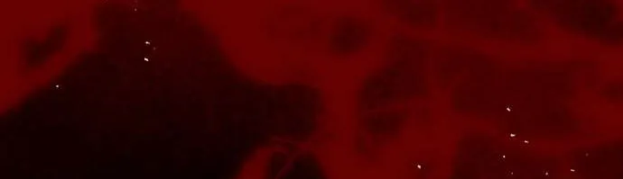 Lời Thú Nhận Của Chúa Tể Bóng Tối Chapter 131 108