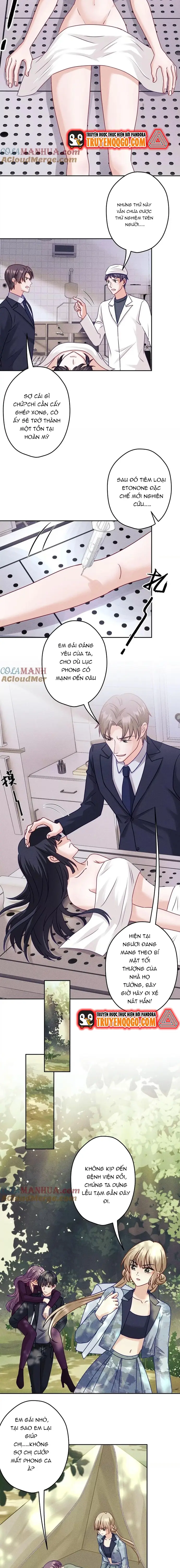 Long Vương Điện: Người Ở Rể Giàu Nhất Chapter 253 - Trang 2