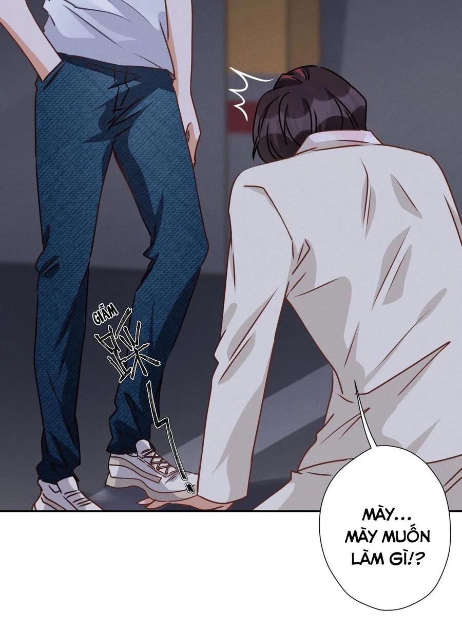 Long Vương Điện: Người Ở Rể Giàu Nhất Chapter 29 - Trang 2
