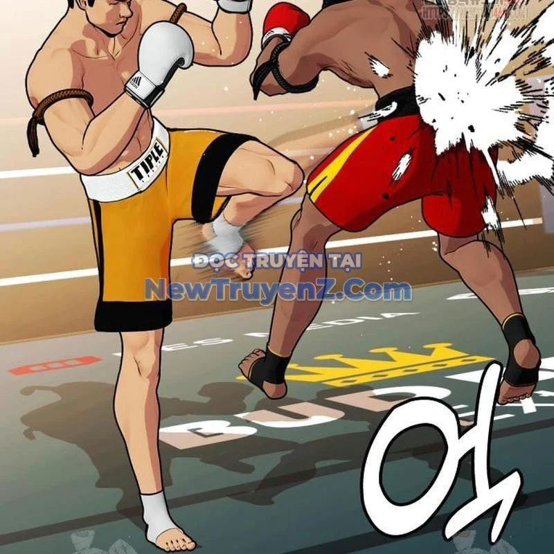 Loser Giỏi Võ Chapter 121 - Trang 2