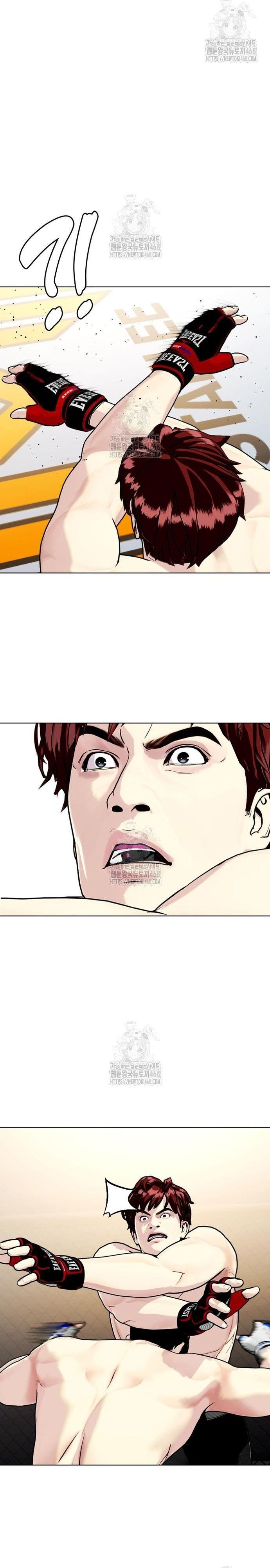 Loser Giỏi Võ Chapter 138 - Trang 3