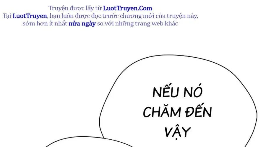 Loser Giỏi Võ Chapter 143 - Trang 2