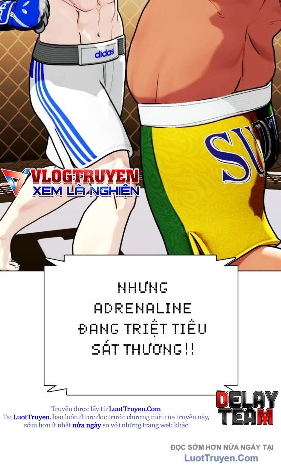 Loser Giỏi Võ Chapter 144 - Trang 2