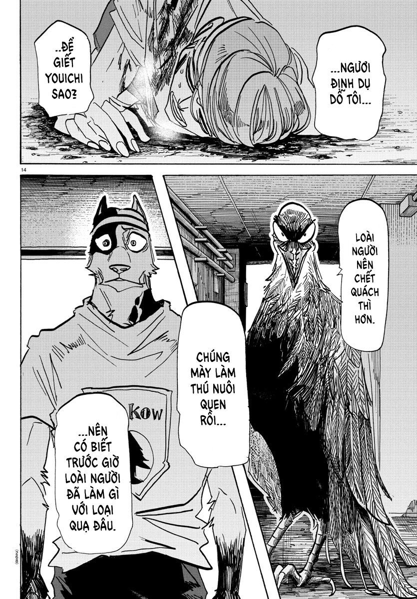 Lý Trí Của Taika Chapter 14 - Trang 4