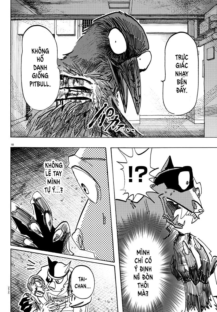 Lý Trí Của Taika Chapter 14 - Trang 4
