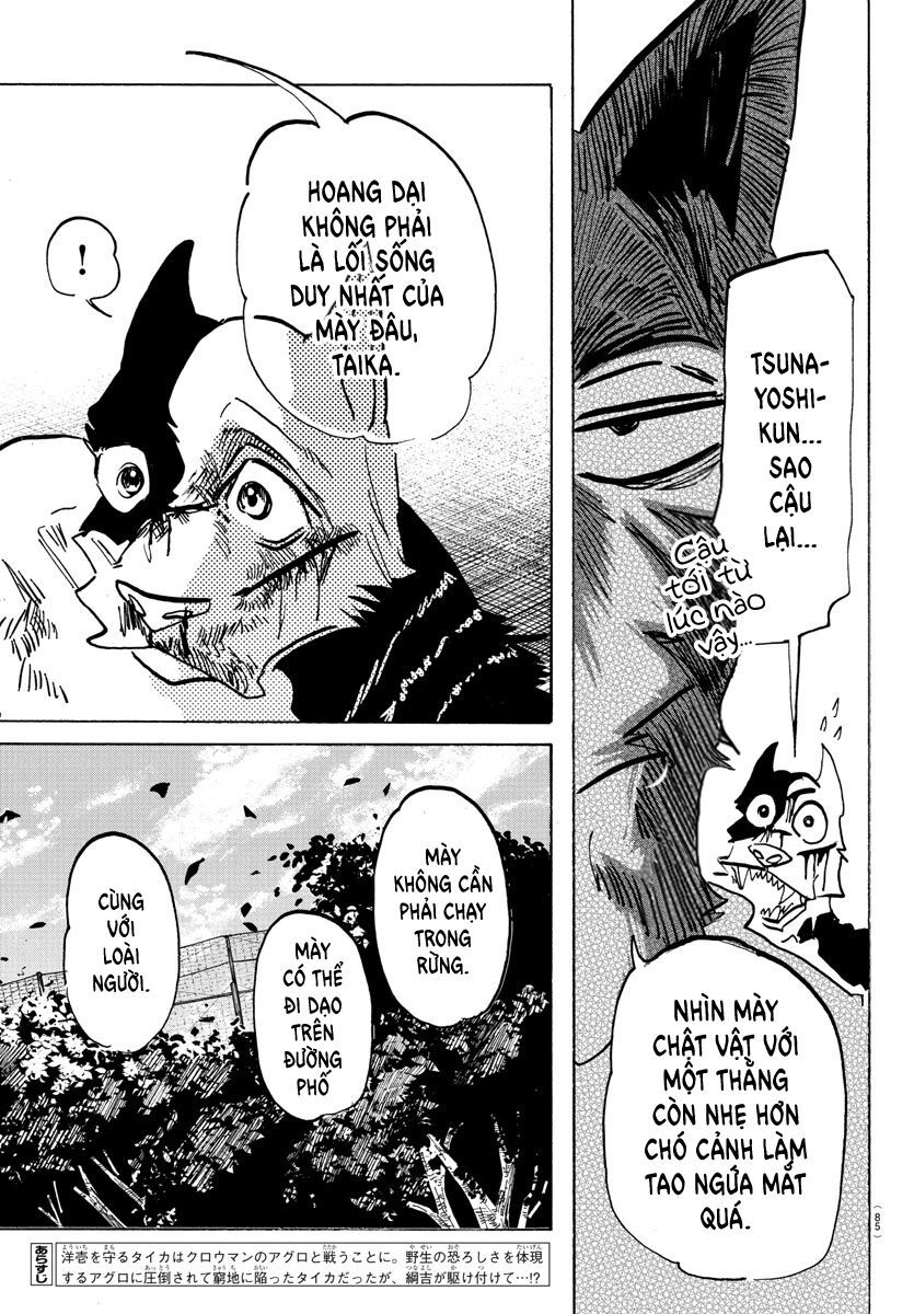 Lý Trí Của Taika Chapter 16 - Trang 4