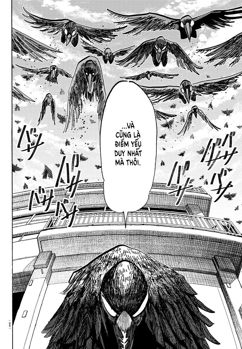 Lý Trí Của Taika Chapter 16 - Trang 4