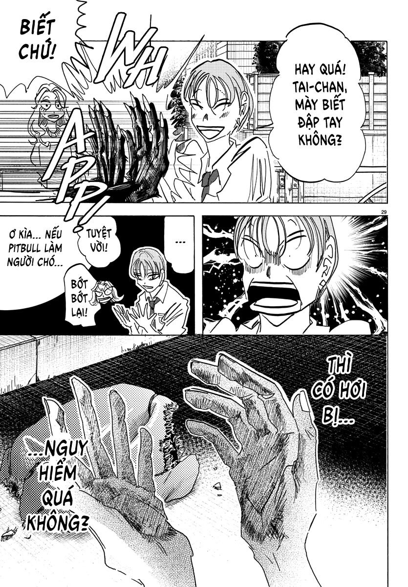 Lý Trí Của Taika Chapter 2 - Trang 4