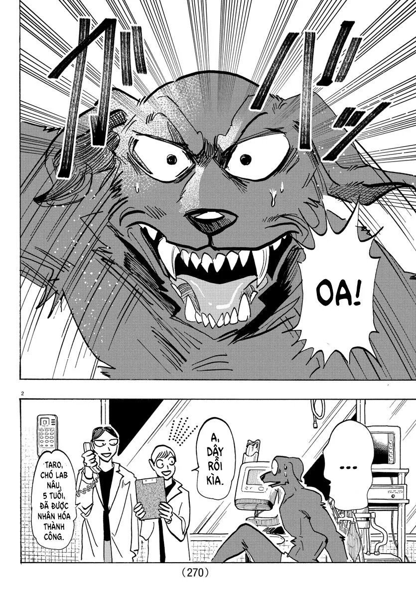 Lý Trí Của Taika Chapter 21 - Trang 2
