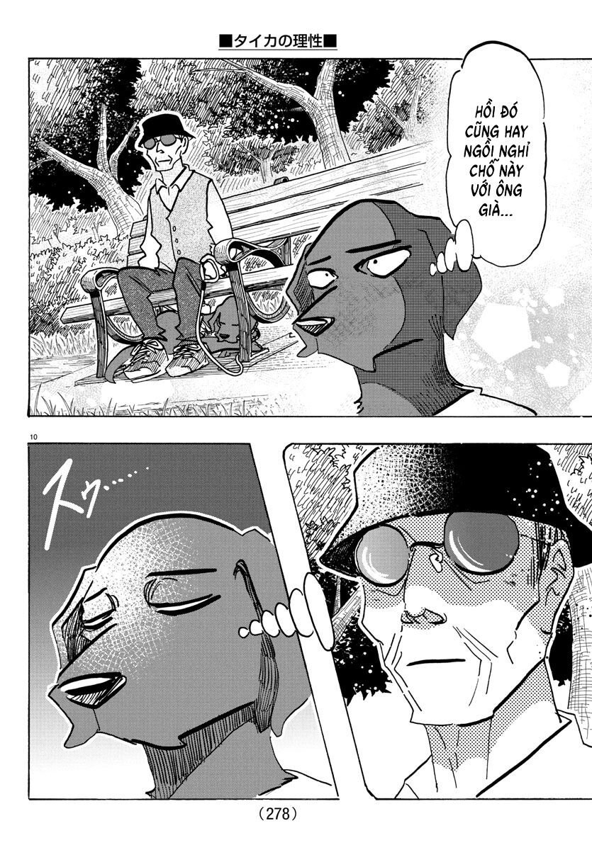 Lý Trí Của Taika Chapter 21 - Trang 2