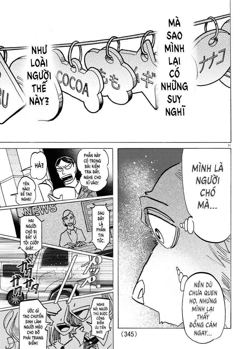 Lý Trí Của Taika Chapter 26 11