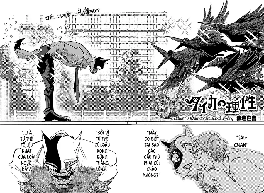 Lý Trí Của Taika Chapter 40 2