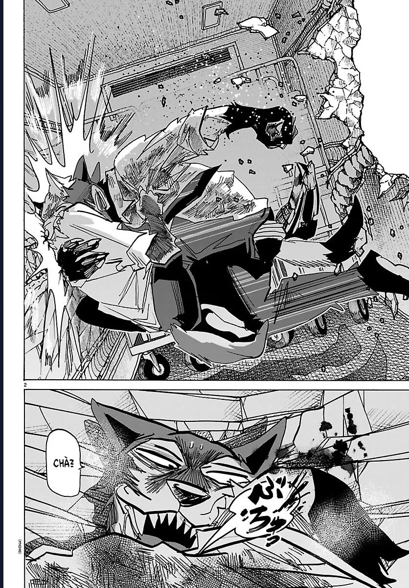 Lý Trí Của Taika Chapter 42 - Trang 2