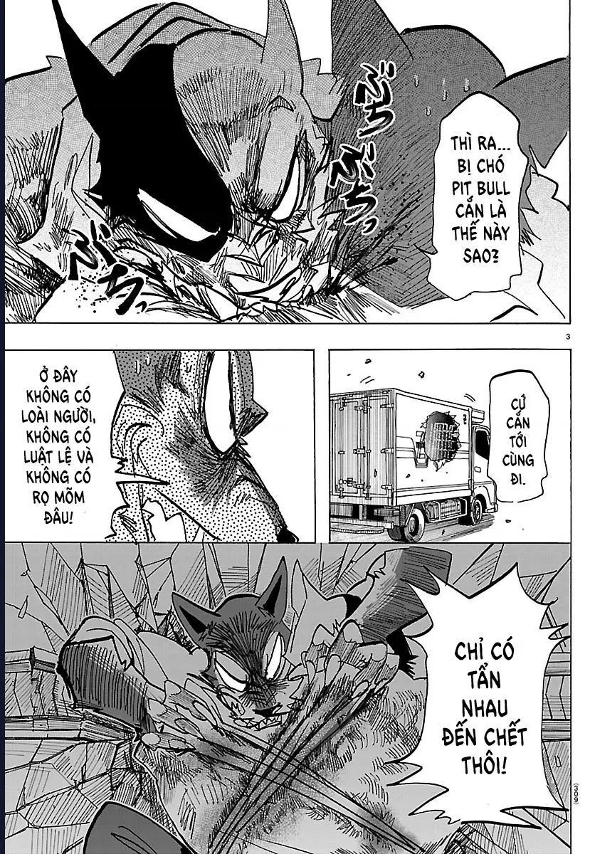 Lý Trí Của Taika Chapter 42 - Trang 2