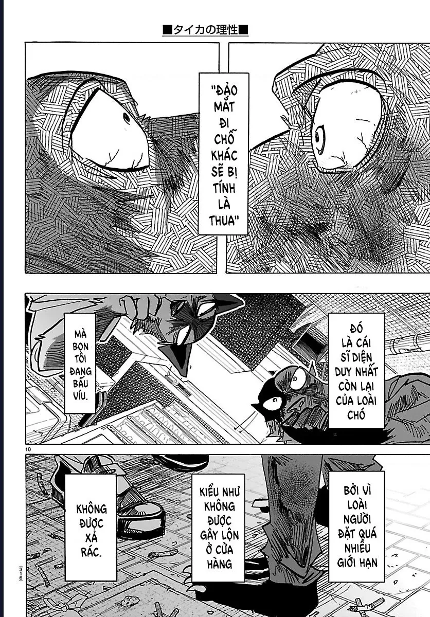 Lý Trí Của Taika Chapter 42 - Trang 2
