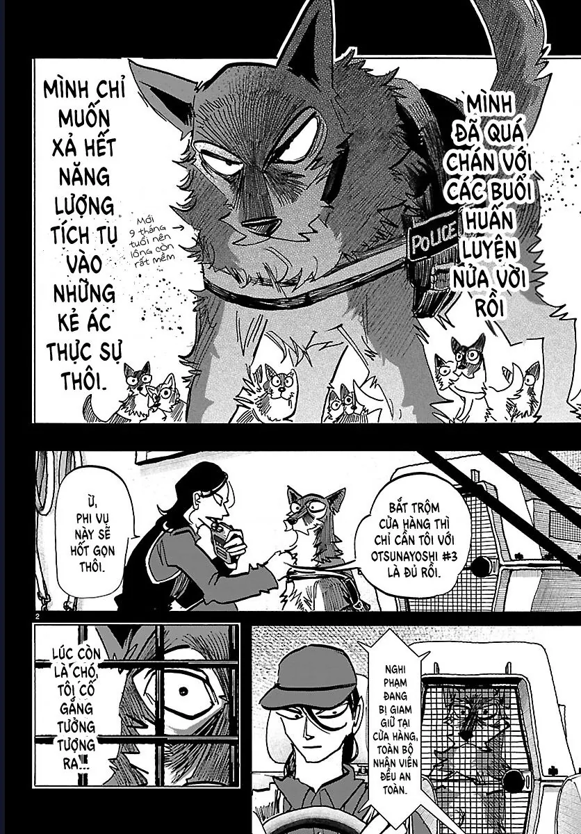 Lý Trí Của Taika Chapter 44 - Trang 2