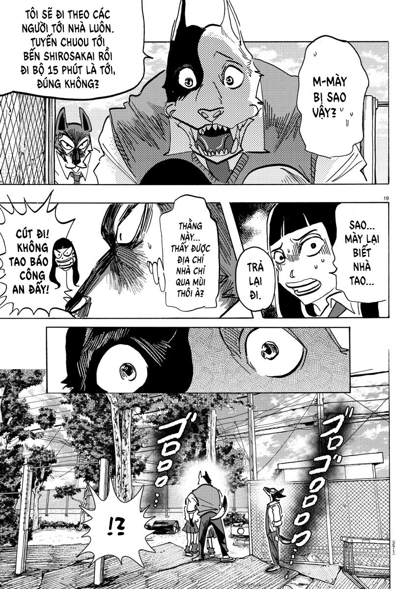 Lý Trí Của Taika Chapter 5 - Trang 4