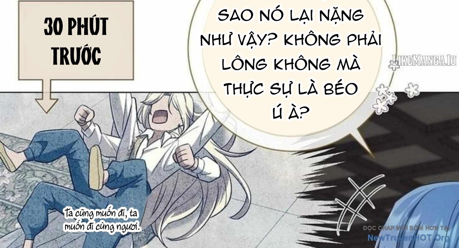 Ma Pháp Quân Chủ Chapter 20 - Trang 3