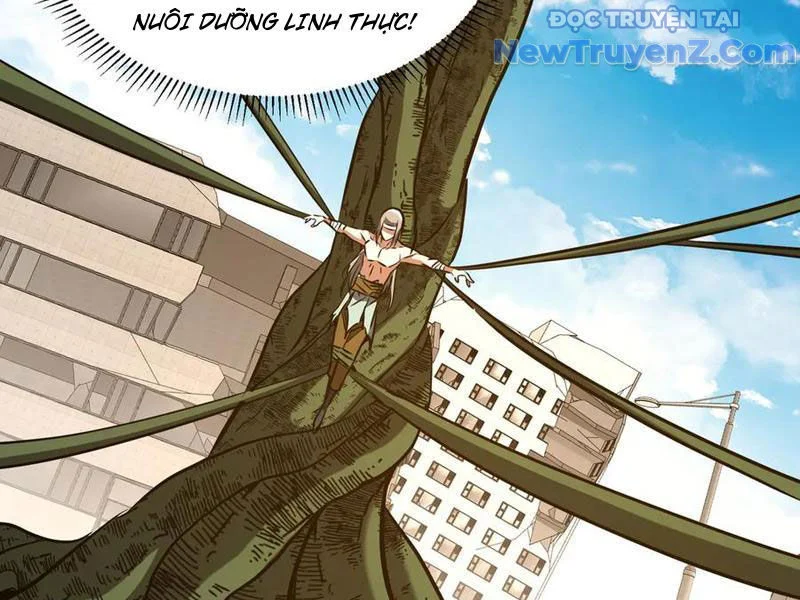 Ma tu tái sinh: Khởi đầu nhặt được một hành tinh zombie Chapter 41 - Trang 3