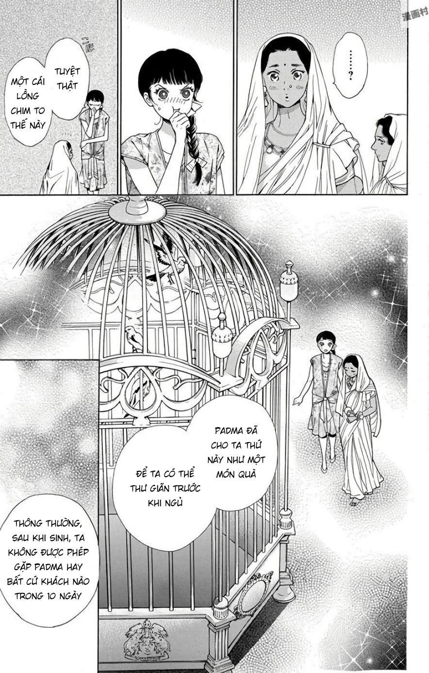 Madame Petit Chapter 52 - Next 