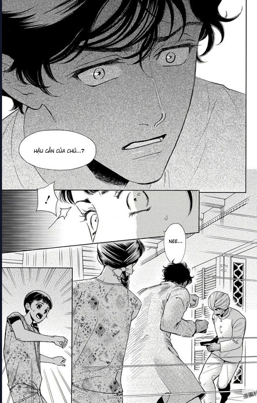Madame Petit Chapter 53 - Next 