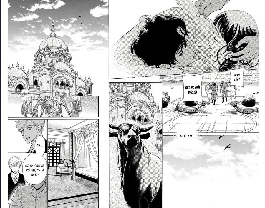 Madame Petit Chapter 53 - Next 