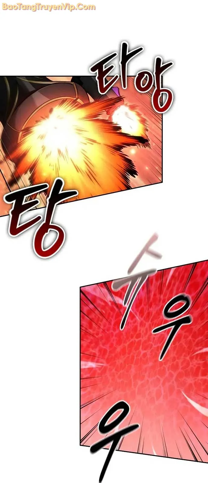 Mạo Hiểm Giả Cuối Cùng Chapter 72.1 - Trang 2