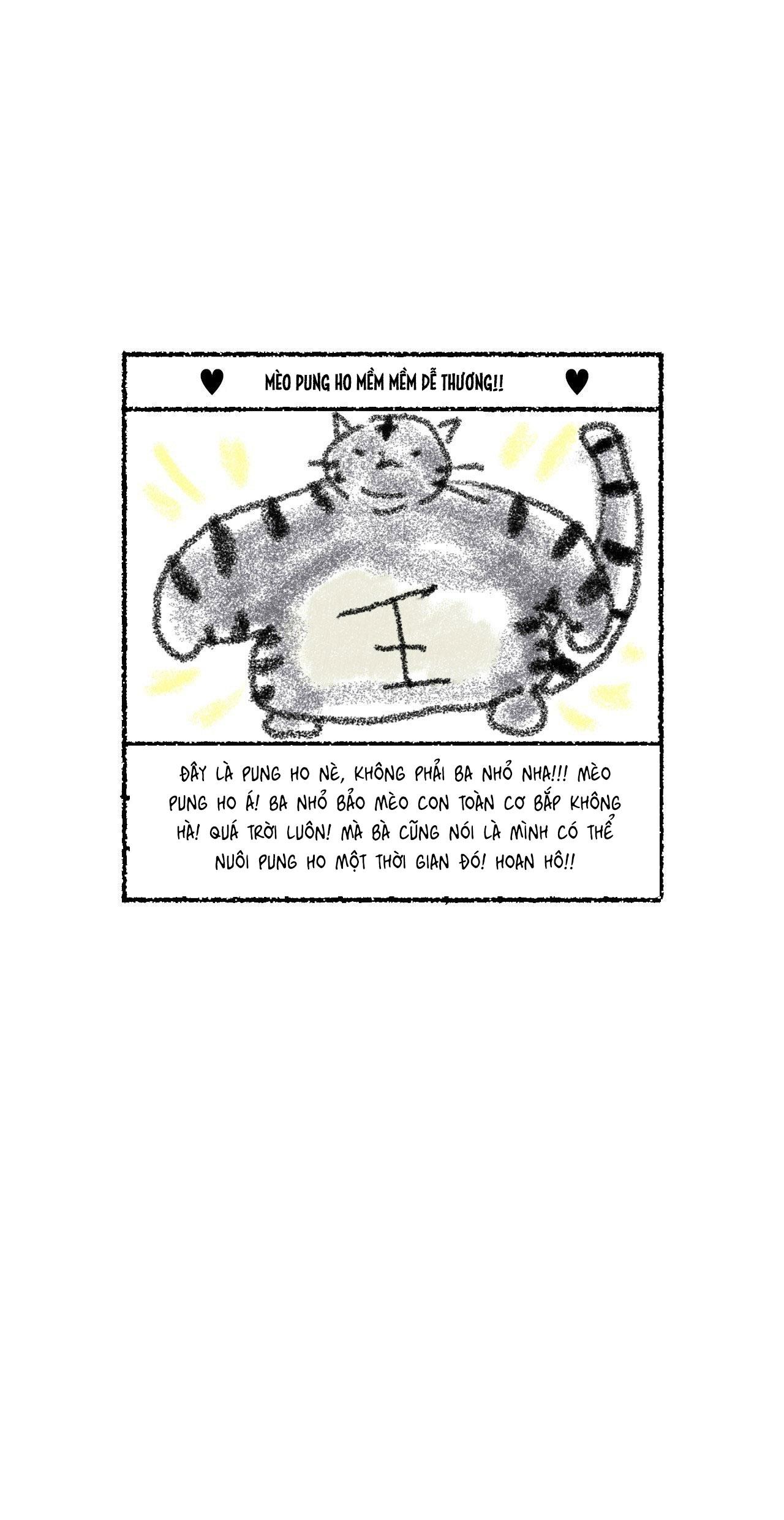 MẮT BÃO Chapter 13 - Trang 3