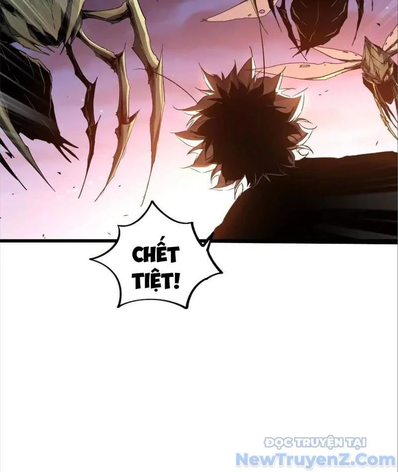 Mạt Thế Cẩu Sinh: Gián Giúp Ta Chồng Buff Chapter 42 - Trang 3