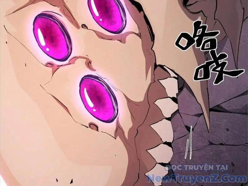 Mạt Thế Cẩu Sinh: Gián Giúp Ta Chồng Buff Chapter 43 - Trang 3