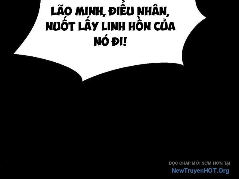 Mạt Thế: Nhân Hoàng Phiên Mời Chư Vị Nữ Đồ Đệ Nhập Tọa Chapter 23 - Trang 3