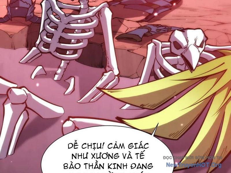 Mạt Thế: Nhân Hoàng Phiên Mời Chư Vị Nữ Đồ Đệ Nhập Tọa Chapter 27 - Next 