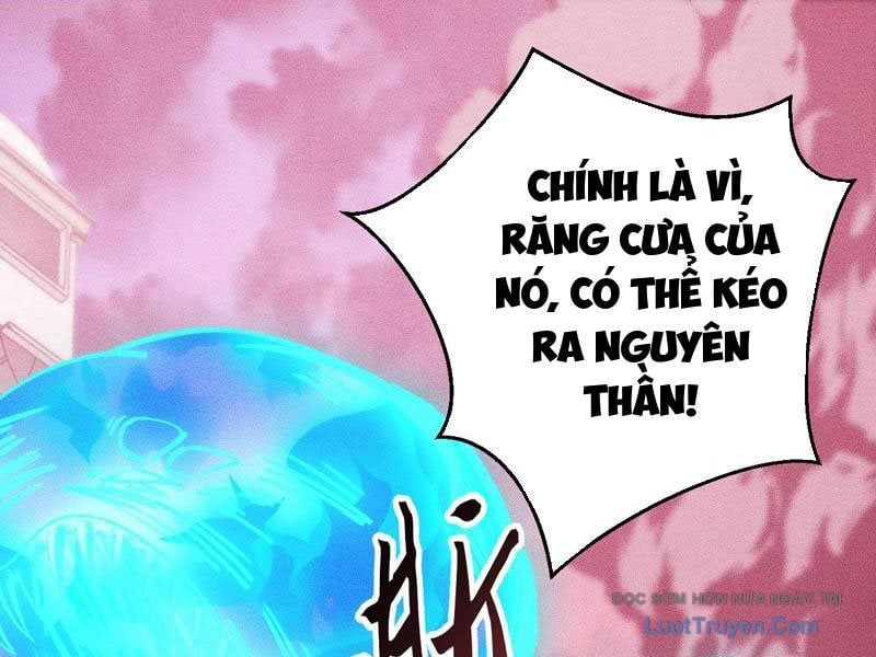 Mạt Thế: Nhân Hoàng Phiên Mời Chư Vị Nữ Đồ Đệ Nhập Tọa Chapter 33 - Trang 2