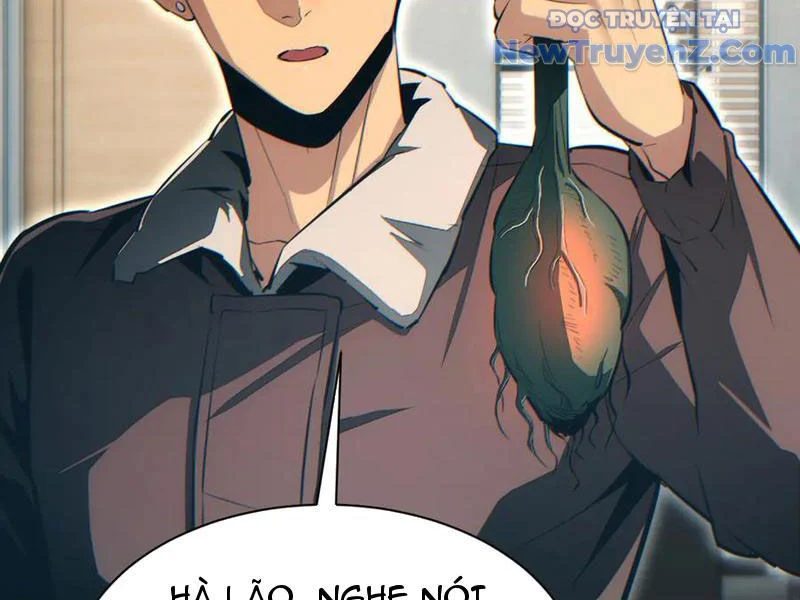 Mạt Thế Trọng Sinh: Ta Quay Gacha Làm Trùm! Chapter 50 - Trang 2
