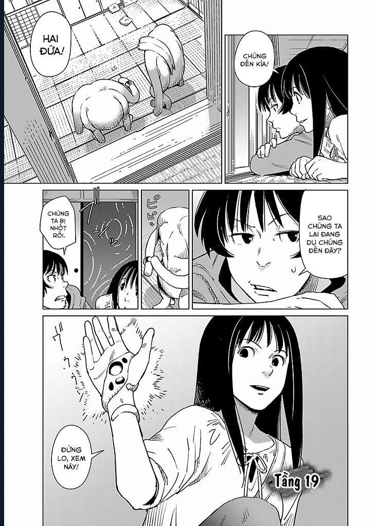 Mê Cung Triệu Chiếu Chapter 19 - Trang 2