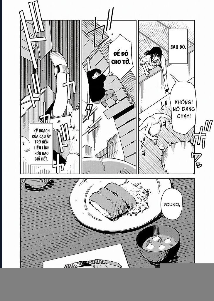 Mê Cung Triệu Chiếu Chapter 20 - Trang 2