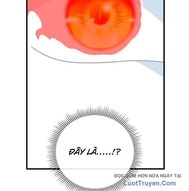 Mệnh Luân Chi Chủ! Khi Dị Biến Giáng Lâm Nhân Gian! Chapter 167 - Next 